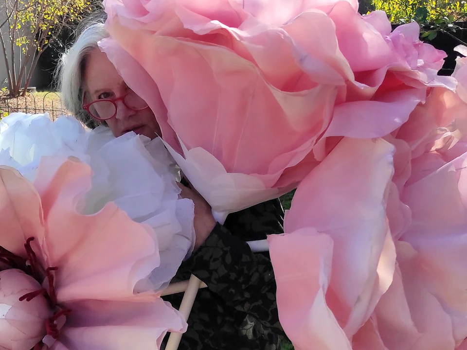 Hazel peering out between giant pink paper roses