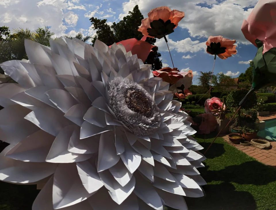 A giant silver paper dahlia photographed from below against the sky